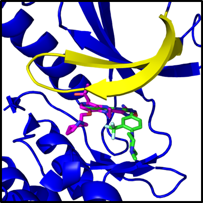 Protein Small Molecule Interaction Protein Small Molecule Interaction